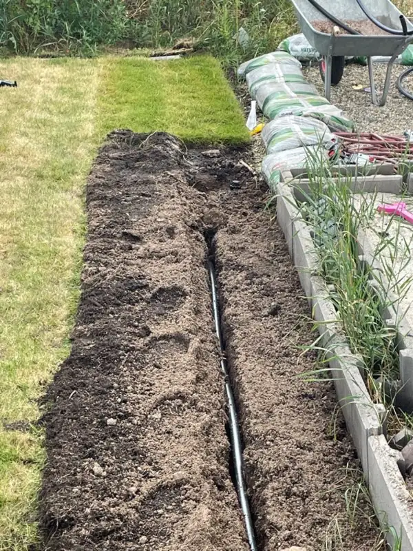 Tropfrohr im Beet verlegt