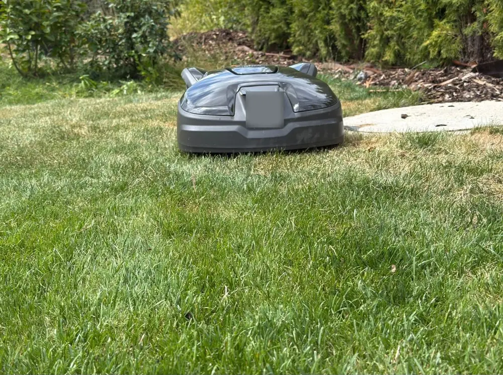 Mähroboter bei der Arbeit auf einem gepflegten Rasen